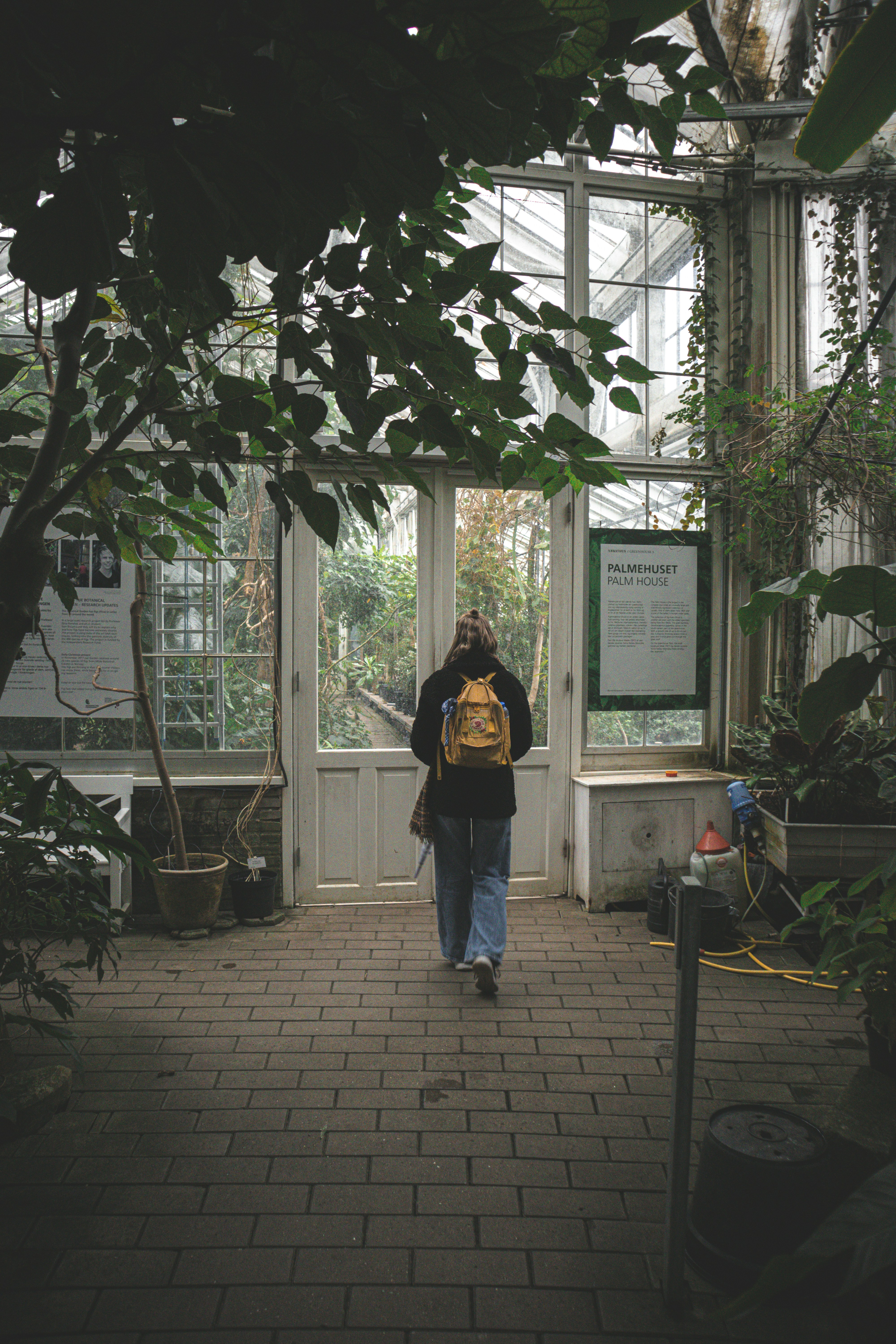 bryan-dijkhuizen-QvItabgOLhs-unsplash