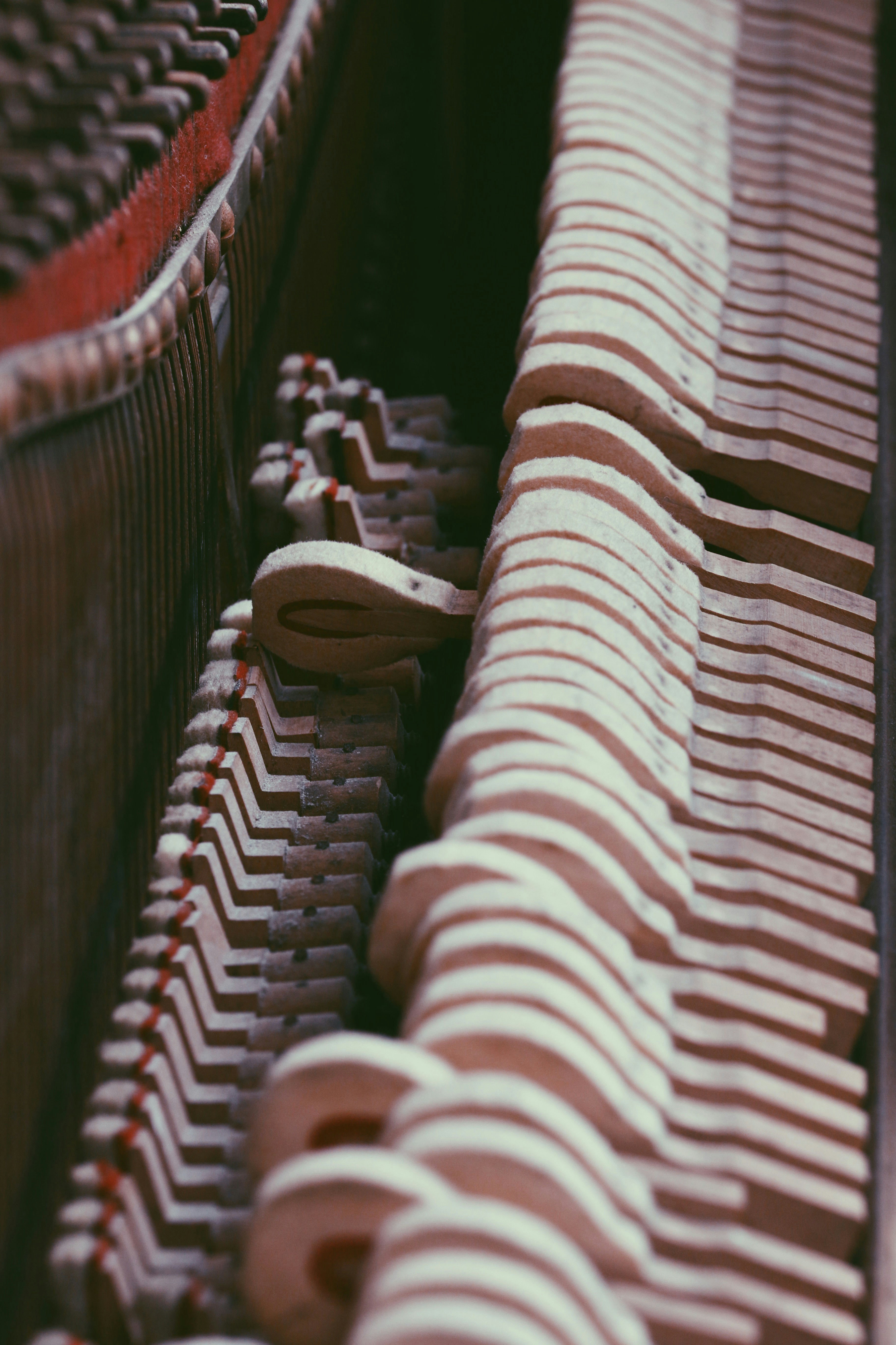 juan-sisinni-9BqRbvSRWkk-unsplash