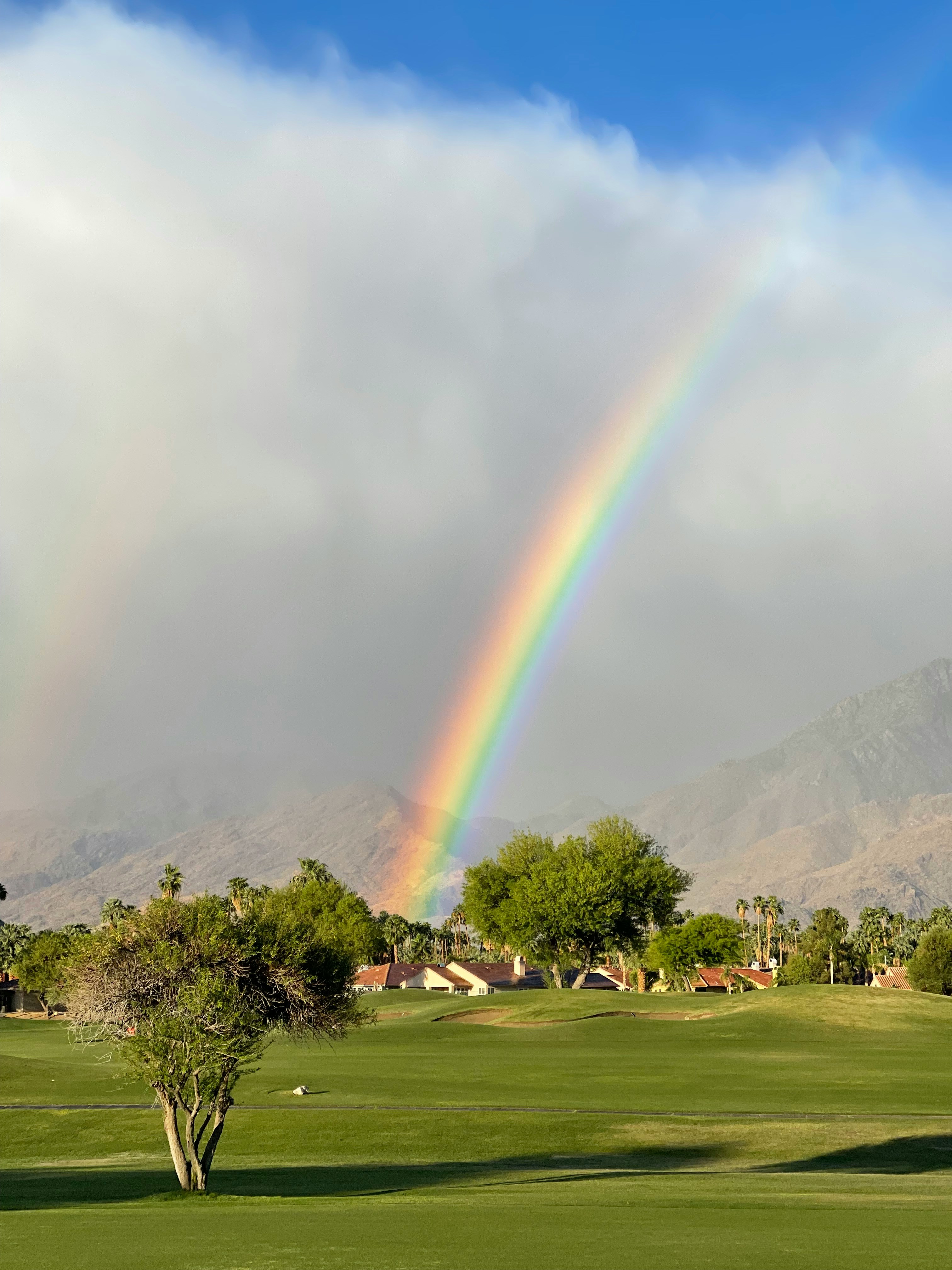 mark-tulin-gm4WKV6WeJY-unsplash