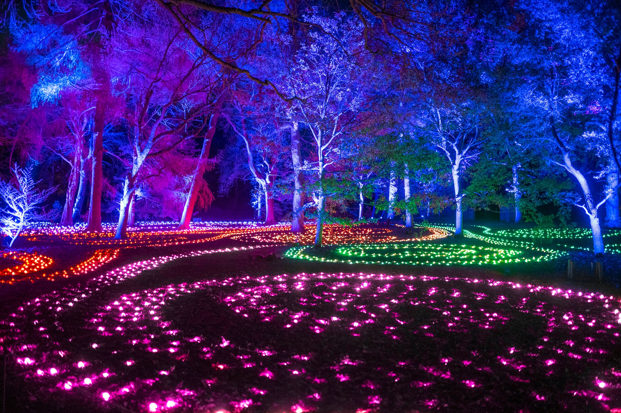 Brooklyn Botanic Garden Brooklyn Botanic Garden