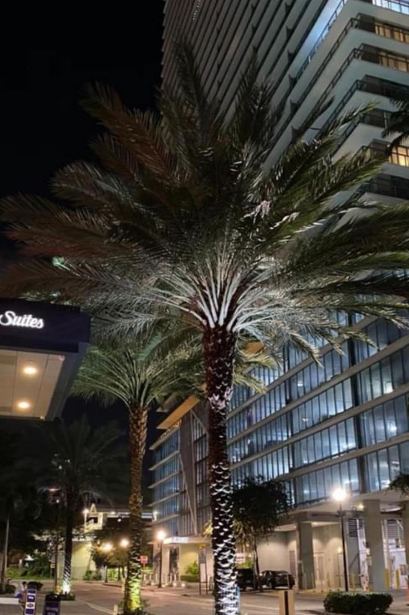 Hampton Inn & Suites by Hilton Miami Downtown/Brickell Hampton Inn & Suites by Hilton Miami Downtown/Brickell