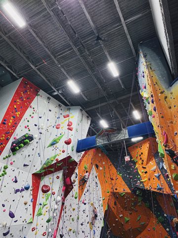 matthew-lejune-33UH193s1rU-unsplash