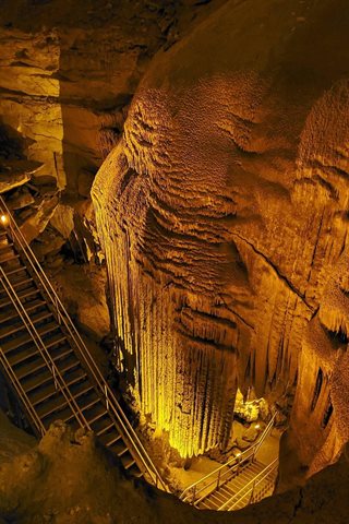 Mammoth Cave National Park